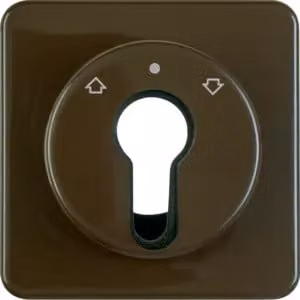 Berker 151811 Elemento centrale per interruttori a chiave/pulsanti per tapparelle, marrone lucido, versione da incasso, IP44