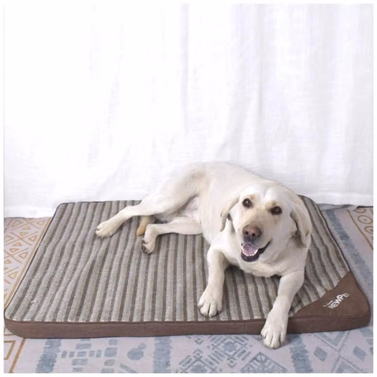 Tappetino ortopedico per cani in memory foam, lavabile, colore caffè, taglia 3XL, dimensioni 95x77x4 cm