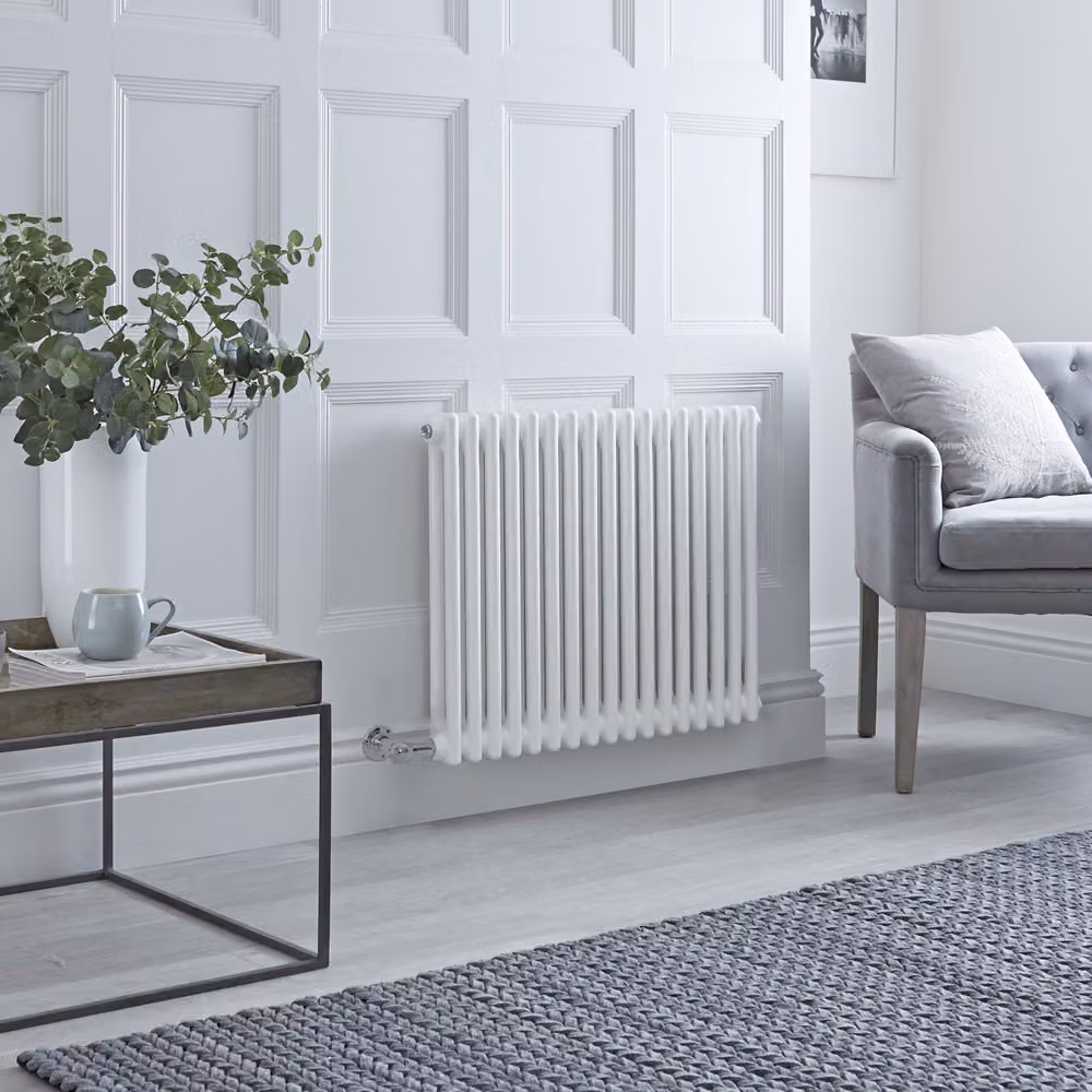 Radiatore di Design Elettrico Tradizionale (a 2 Colonne) - Orizzontale - 300mm x 605mm - Bianco - senza Termostato - Regent - ECOSO by Hudson Reed