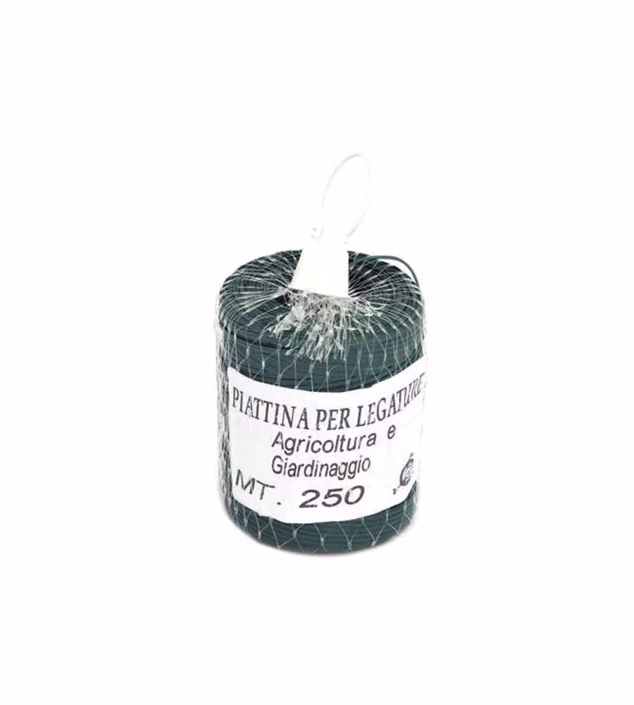 Filo Piattina Rocchetto M 250