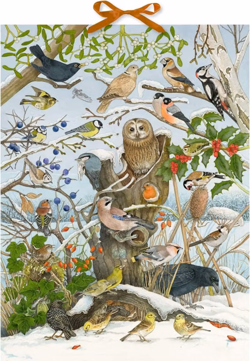 Calendario dell'Avvento sonoro - I nostri uccelli in inverno