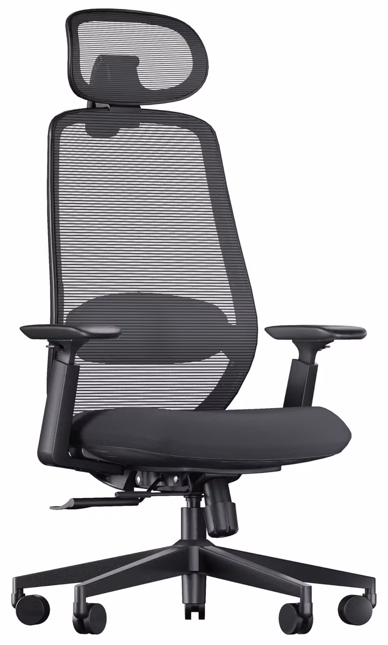 Sedia da ufficio ergonomica con supporto lombare, sedile regolabile e poggiatesta 3D – Colore: nero
