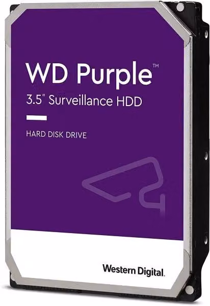 Hard Disk Western Digital Purple da 1 TB SATA 3.5 pollici 5400 RPM 64 MB WD11PURZ