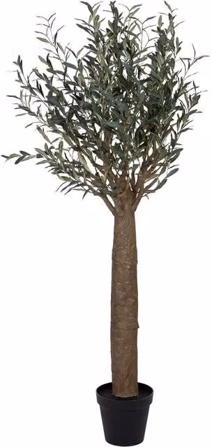 Albero di ulivo artificiale decorativo Wanderlust Deco verde con foglie in tessuto e plastica, L/P/H: 110 x 110 x 180 cm