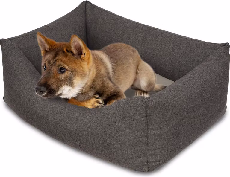 Letto per cani Petzzz Lucky L 100 x 70 x 27 cm con cuscino interno ortopedico