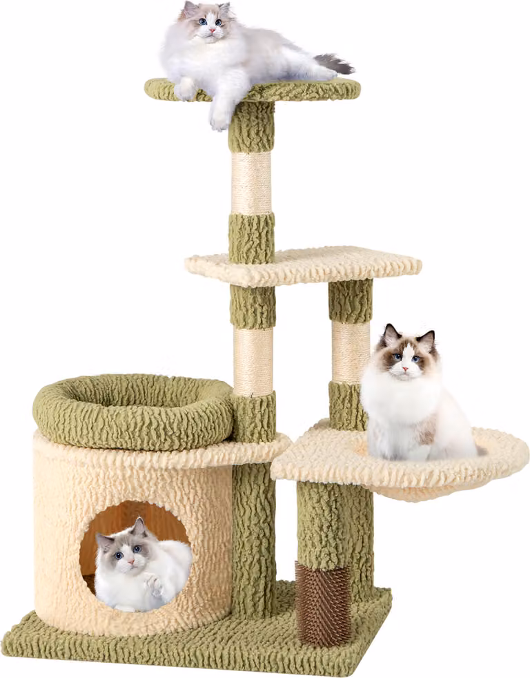 COSTWAY piccolo albero per gatti, albero per gatti con piattaforme, grotta per gatti, amaca e cura del pelo, albero da gioco, albero da arrampicata per gatti verde