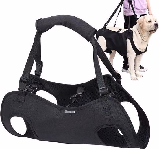Imbracatura riabilitativa per cani, con tracolla, taglia L