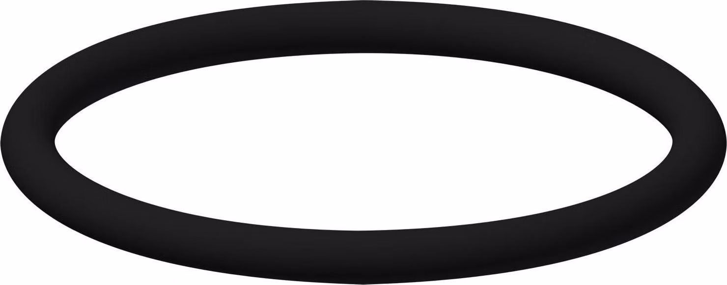 KWC AR O-Ring, 22x2mm, 2000104616
