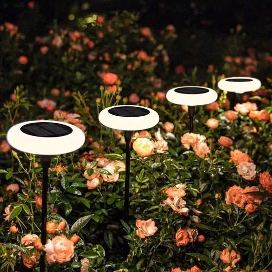 Lampada da Giardino Solare LED Up and Down in Plastica per Percorsi e Bagni all'Aperto, Colore Bianco e Blu