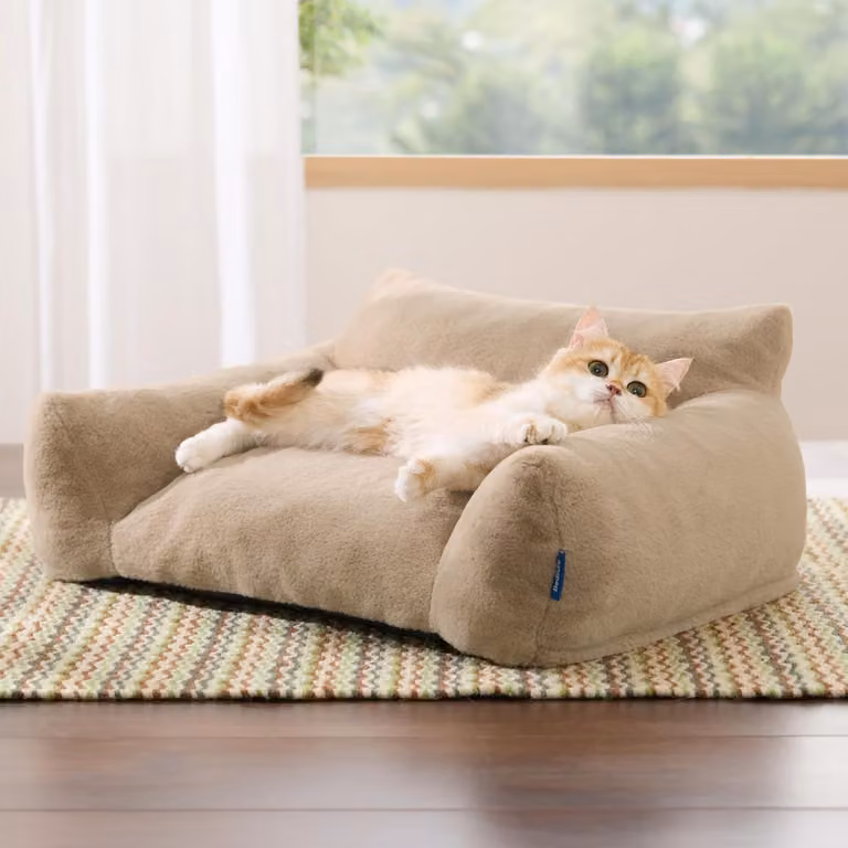 Divano per gatti 61x46x25 cm, modello cammello, con rivestimento lavabile in lavatrice e base antiscivolo