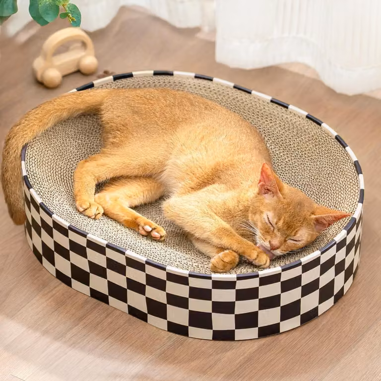 Albero per gatti in cartone, modello ovale 2-in-1, con superficie di riposo circolare, ideale per gatti da interno
