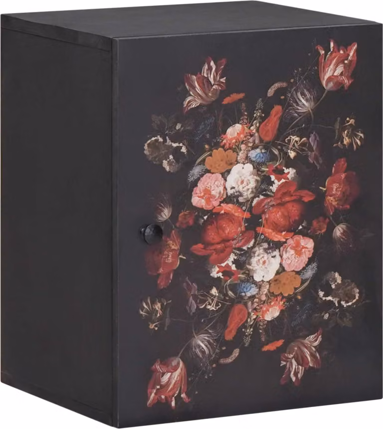 Armadio pensile con archiviazione Multicolore 38 x 33,5 x 48 cm
