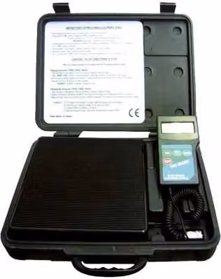 Bilancia Elettrica di Pressione Fino a 100 kg ± 5 Gr Hywerk