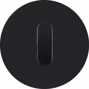 Berker 1001205500, Nero, Termoplastica, Berker, R.classic, 80,7 mm, 80,7 mm