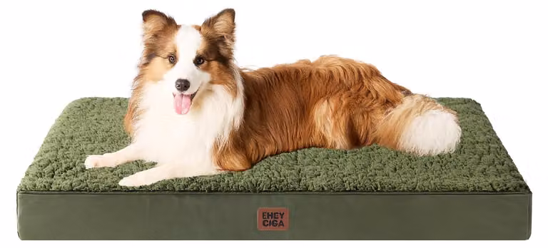 Cuccia ortopedica per cani, lavabile, taglia XL, con rivestimento removibile, ideale per cani di grossa taglia