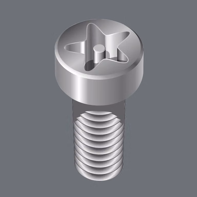 Wera 867/4 IPR TORX PLUS punte con foro, 25 IPR, lunghezza 50 mm 10 pz