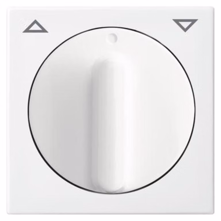 Busch-Jaeger disco centrale per tende/temporizzatori 2542 DR-914