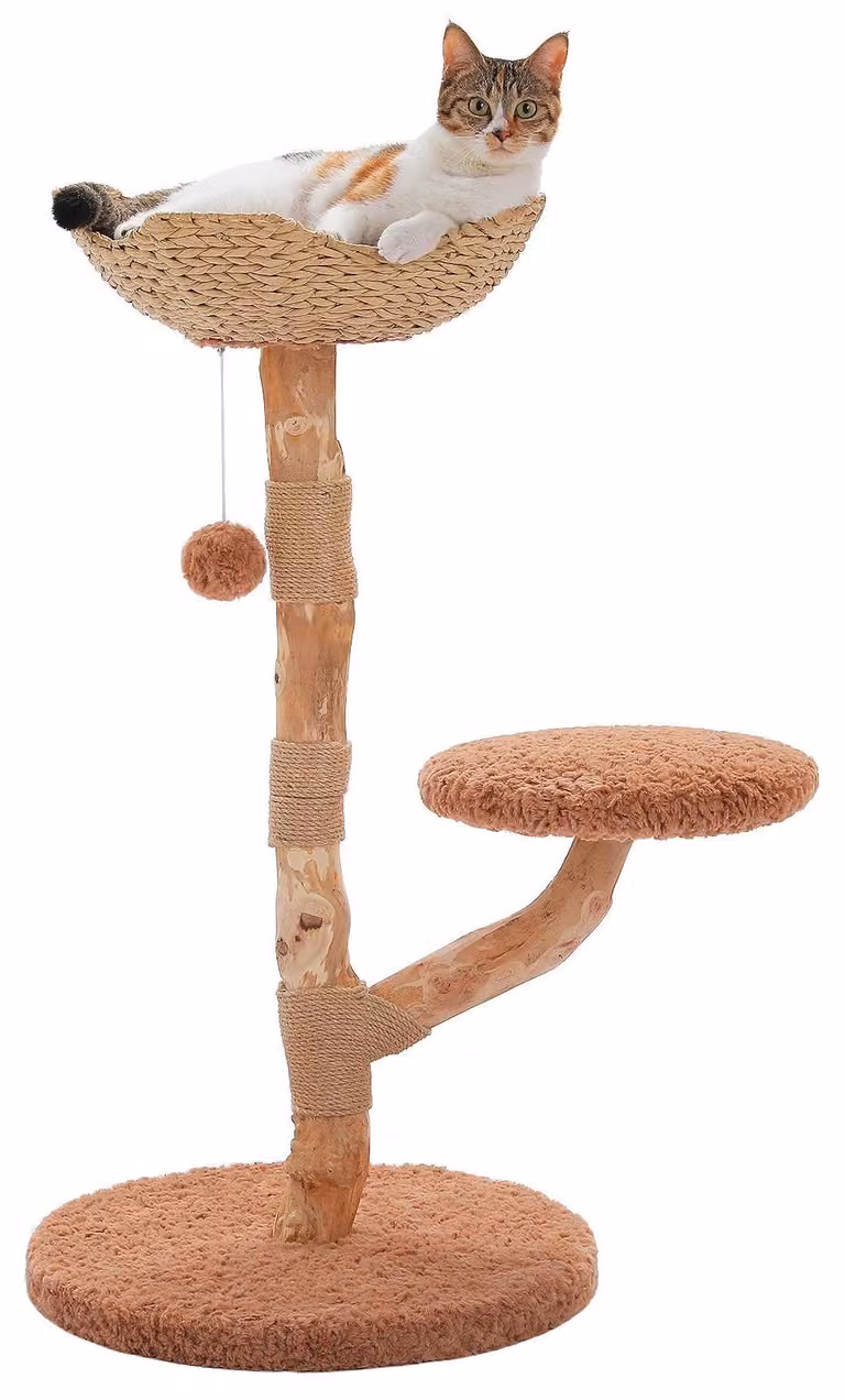 Katzenbaum, design elegante, funzioni interattive, Braun, modello L-a