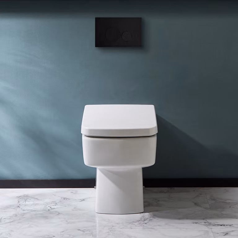 Sanitario WC a Terra con Copriwater Soft-Close  - Exton