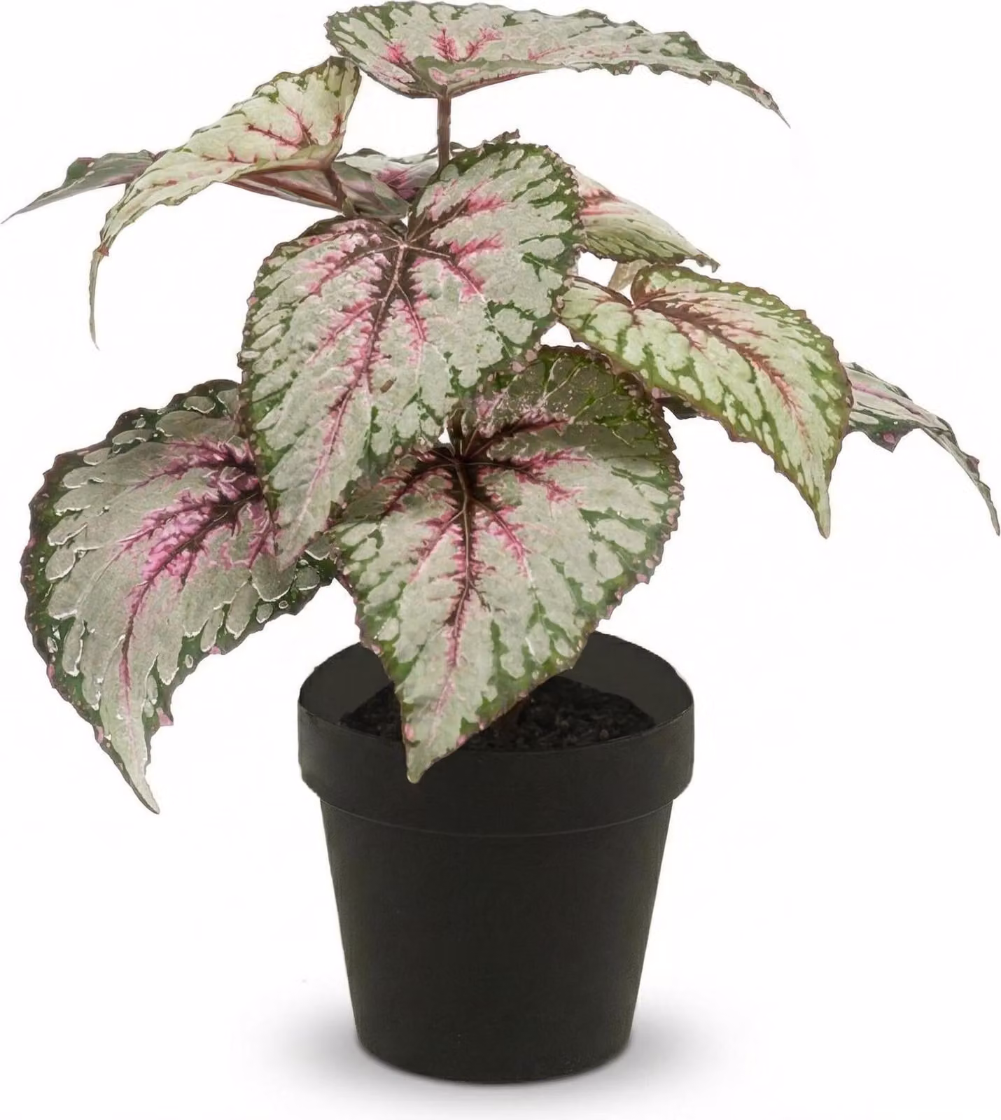 Pianta artificiale di begonia - ca. 26cm - resistente ai raggi UV - Pianta