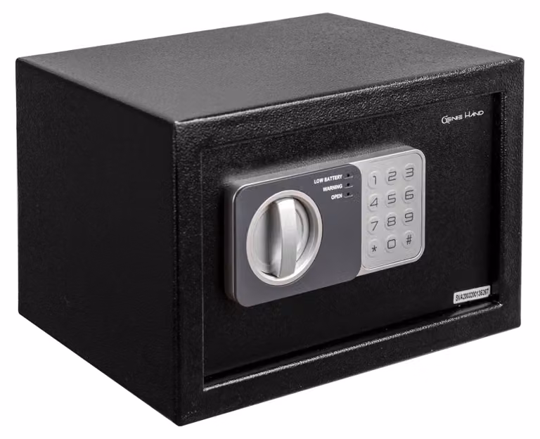 Cassaforte elettronica con serratura a tempo - Capacità: 9,8 litri - Acciaio inossidabile - Colore: nero - Montaggio a parete