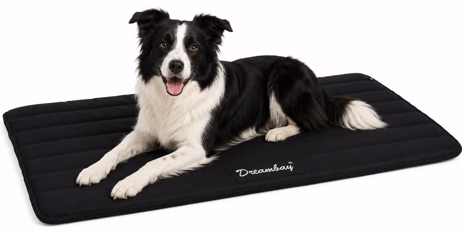 Cuccia per cani Flamingo - lettino ortopedico per gatti Dreambay® nero - idrorepellente