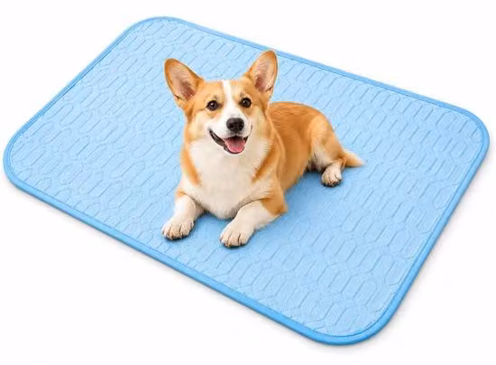 Tappetino refrigerante per cani e gatti - Tappetino per cani e gatti - Tappetino non tossico - 40 x 30 cm - Blu