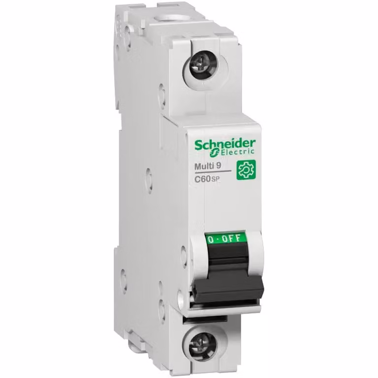 Interruttore LS Schneider Electric M9F23106