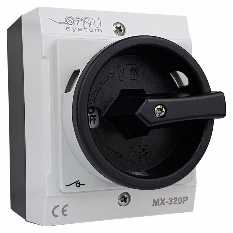 Interruttore trifase, interruttore a camme, 3 x 20 A, 4 kW, in contenitore grigio, grado di protezione IP65, modello MX-320P XBS