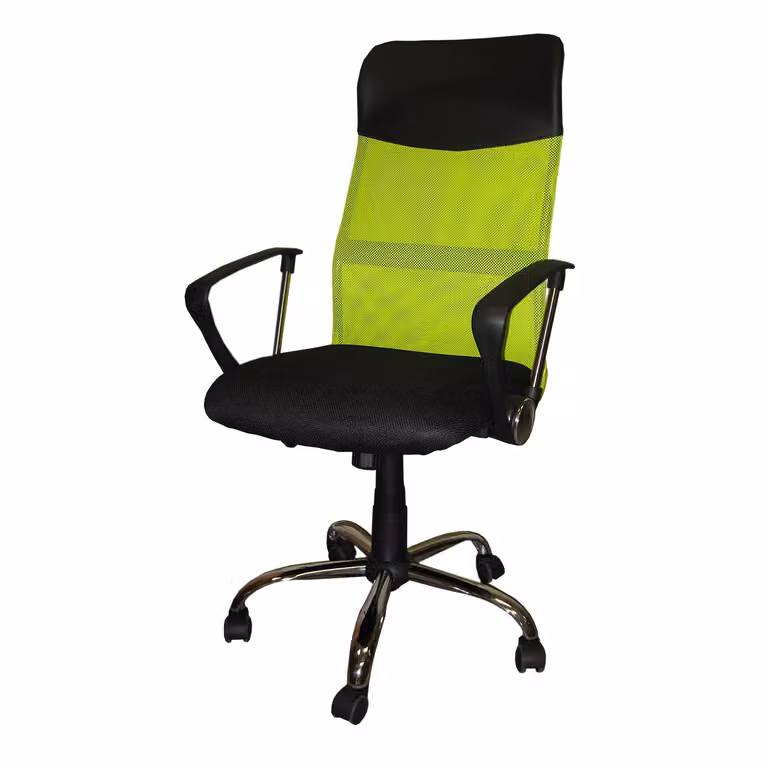 Sedia da ufficio PRESIDENT verde K6