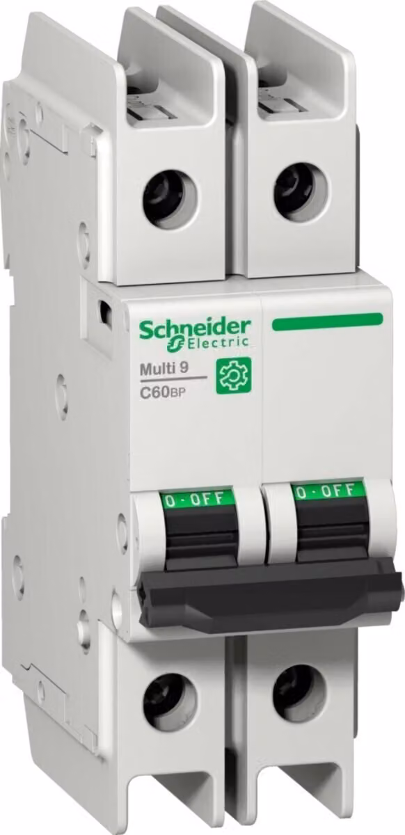 Interruttore LS Schneider Electric Multi 9 OEM M9F42210