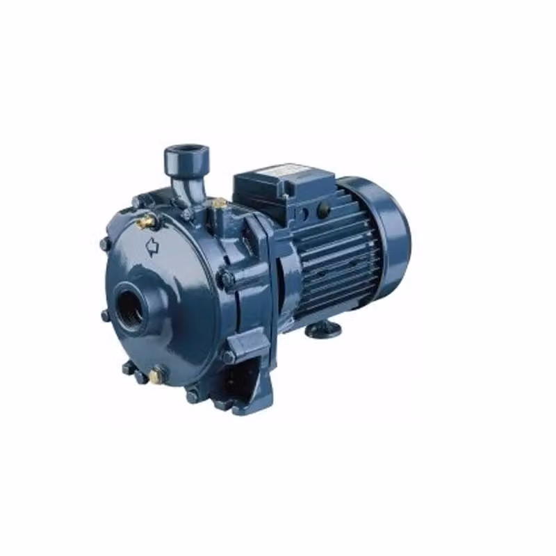 Elettropompa Centrifuga Monogirante Ebara Mod. Cma 1,00M in Ghisa Blu – 2