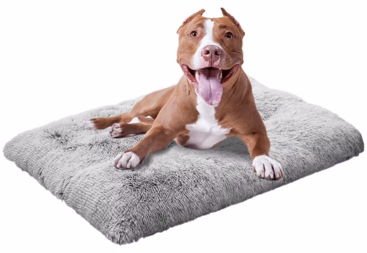Omgoods - Cuccia morbida per cani di taglia grande e media, con base antiscivolo