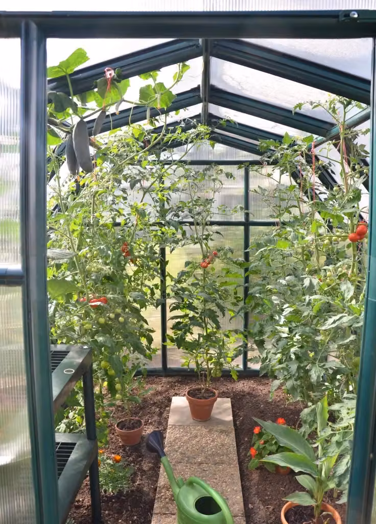 Serra da giardino a doppio strato in policarbonato CANOPIA verde L: 259 cm, P: 204 cm, H: 198 cm – 2