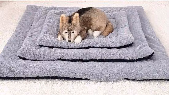 Cuscino per cani da divano - Microfibra beige