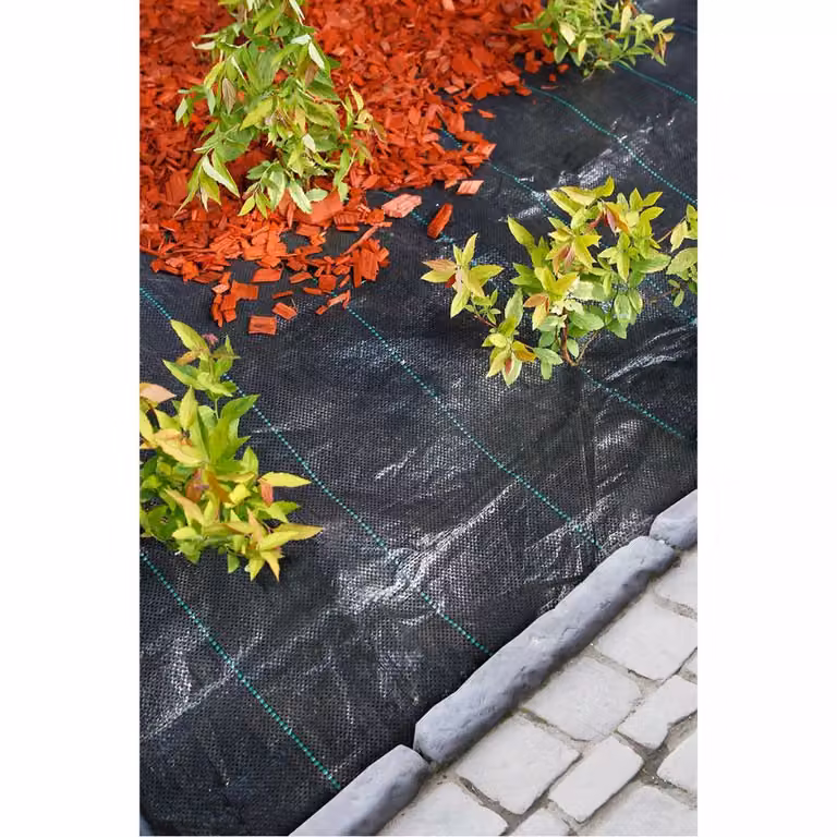 Tessuto di protezione dalle erbacce Nature 2×5 m nero