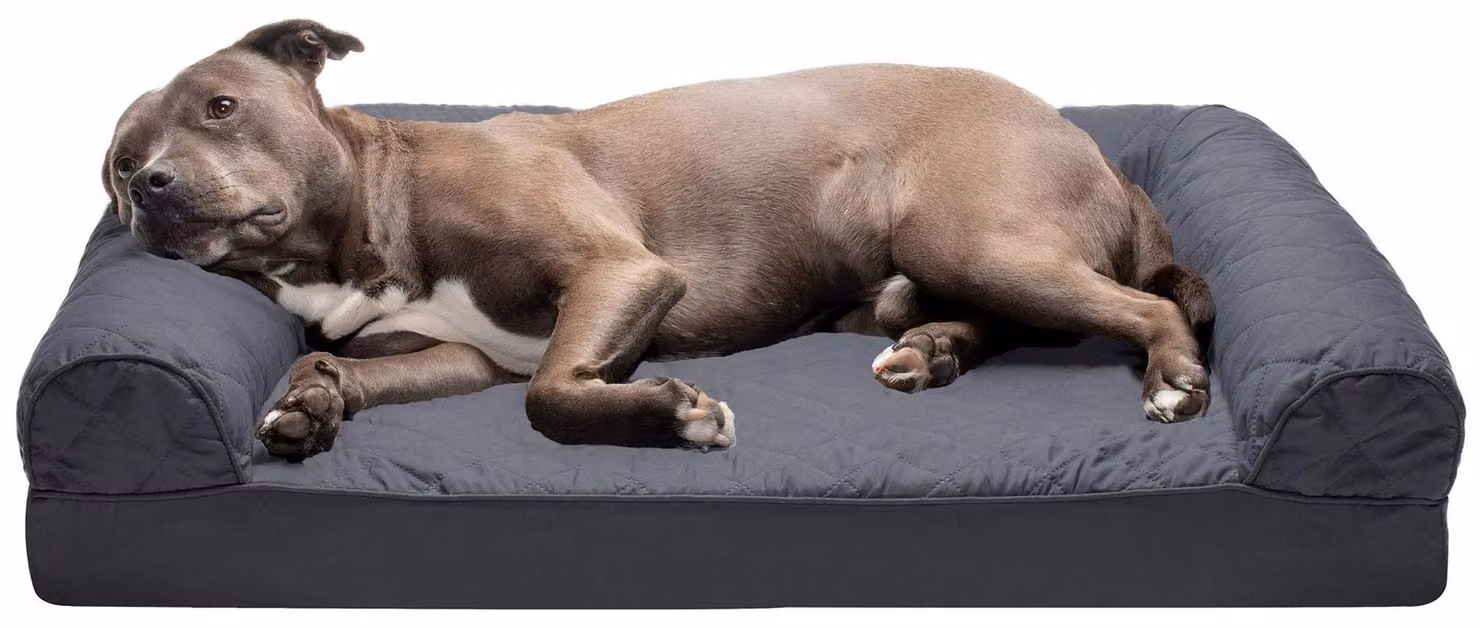 Letto ortopedico grande per cani, modello divano imbottito, con rivestimento removibile e lavabile