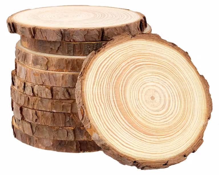 10 dischi di legno rotondi, di diametro 10-11 cm, non trattati, ideali per lavori manuali e artigianato