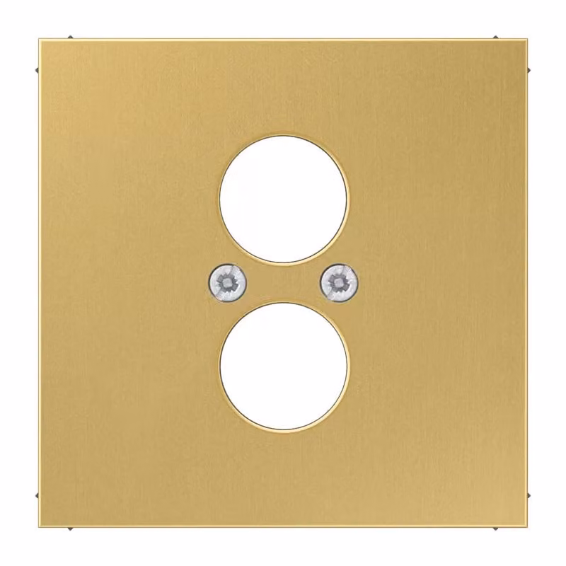 Jung ME2962-2C Copertura in ottone classico