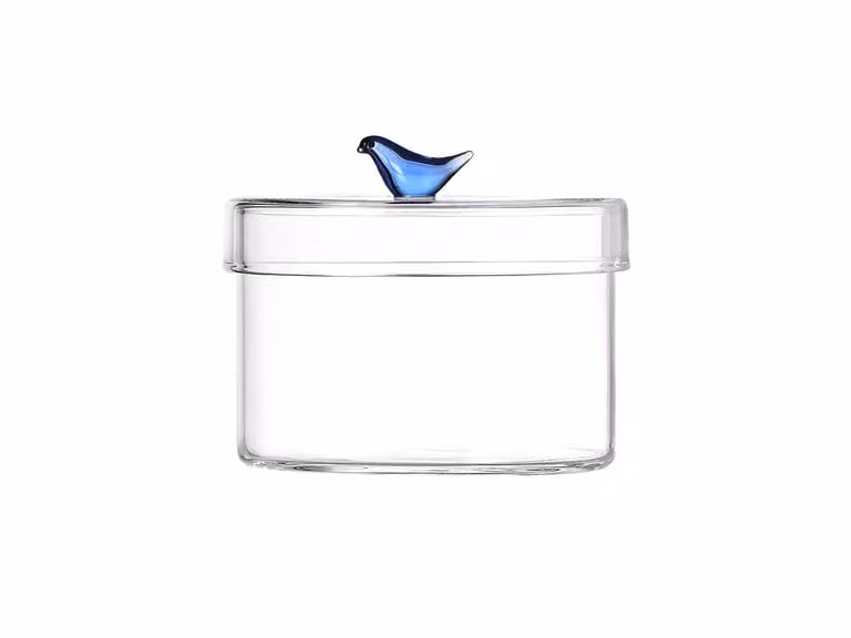 Birds Scatola Bassa Uccello Blu