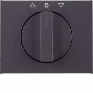 Berker 1077710600, Antracite, Termoplastica, Senza viti, Berker, Opaco, K.1