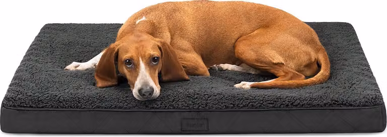 lettino per cani lionto, letto ortopedico con superficie in peluche e Similcuoio scamosciata, rivestimento sfoderabile e maniglia per il trasporto, 91x69x8 cm, nero