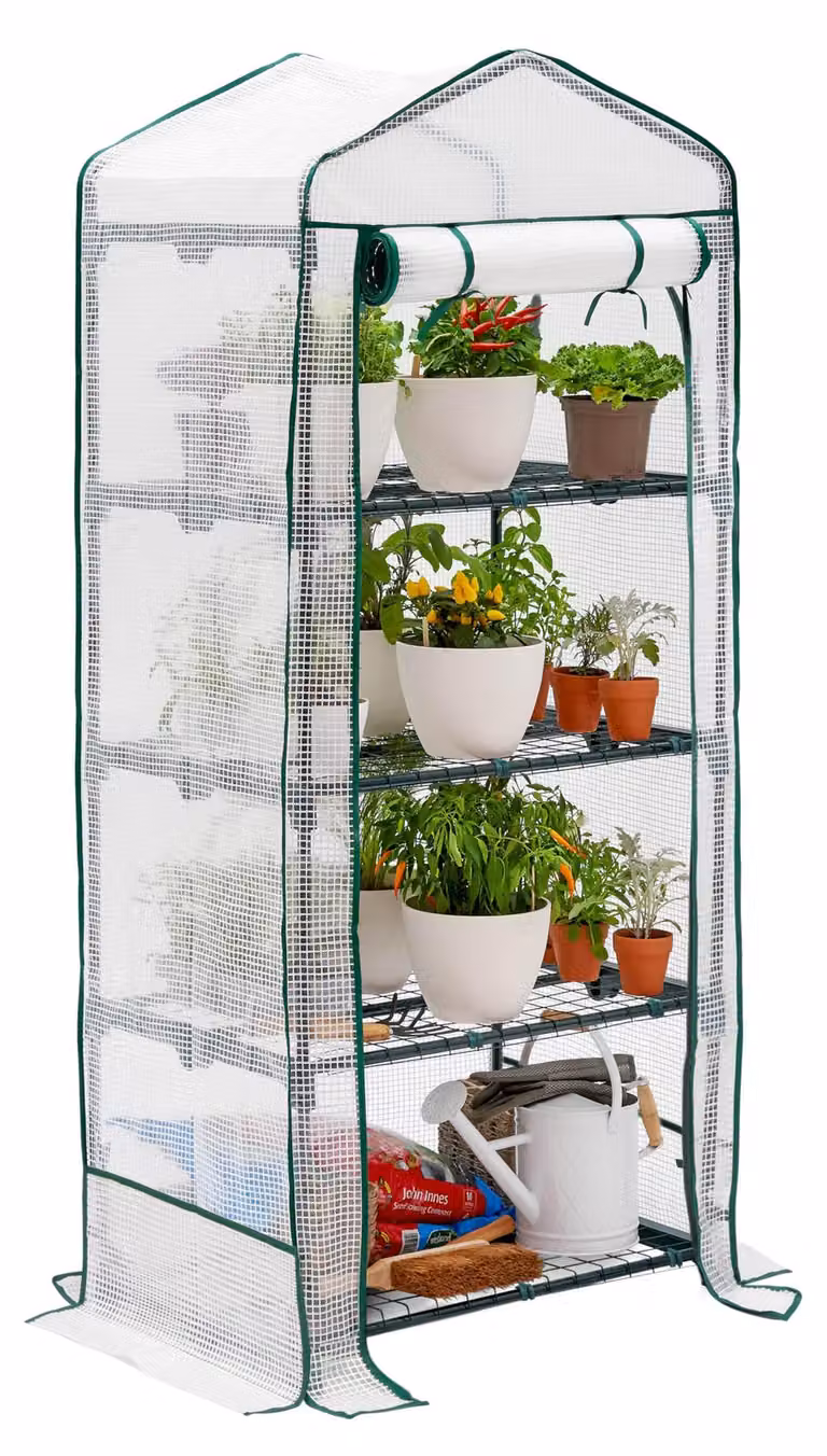 Bramble - Serra da giardino in telo di alta qualità, ideale per balconi e terrazzi, con 4 ripiani, struttura in acciaio e copertura in PVC rinforzata - Stabile e facile da montare - 160x69x49 cm