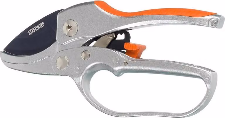 Stocker 18 Cesoie a cricchetto Argento Argento Taglia unica