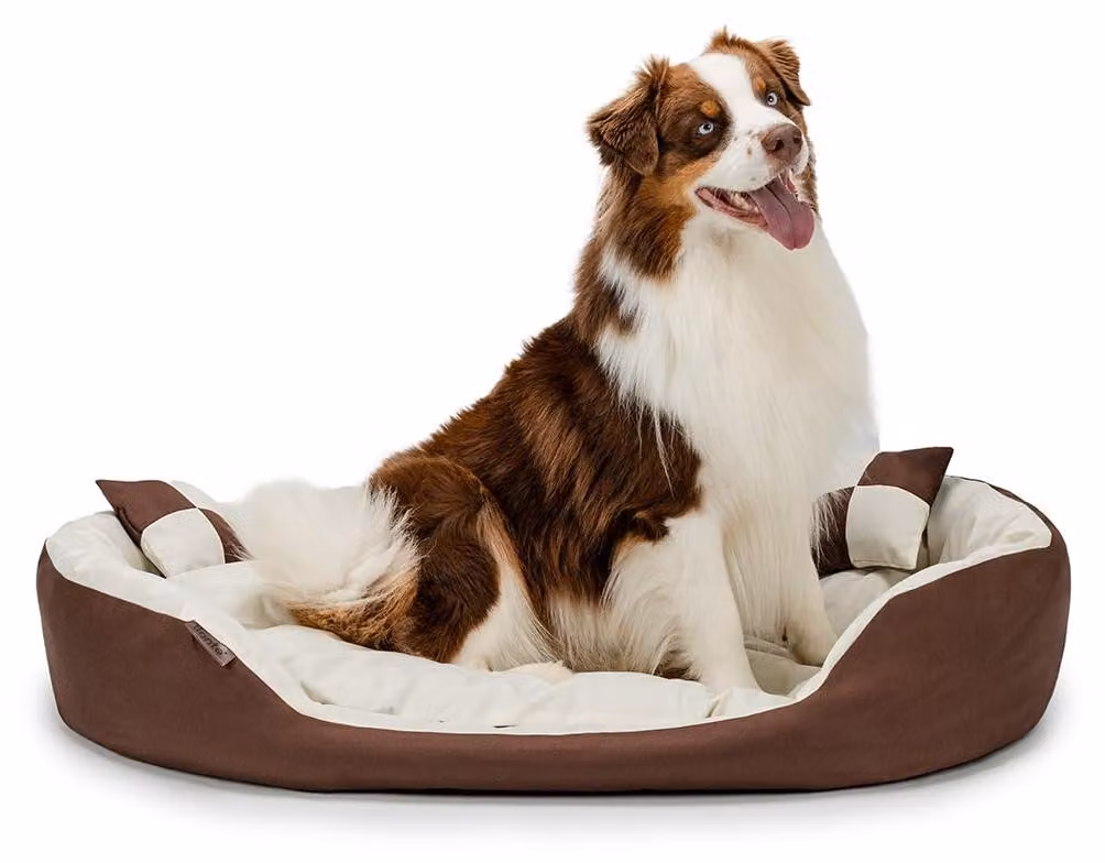cuccia per cani lionto, elegante cesto per cani 4 in 1, idrorepellente, antigraffio e di facile manutenzione, 110x80 cm, marrone/beige