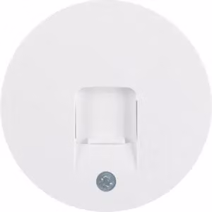 Berker 11702089 Elemento centrale con sportello antipolvere, bianco polare, lucido Berker R.1/R.3