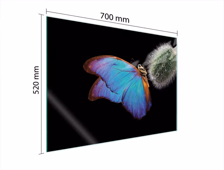 Piastra Di Protezione In Vetrina Per L'erda 70X52 Butterfly