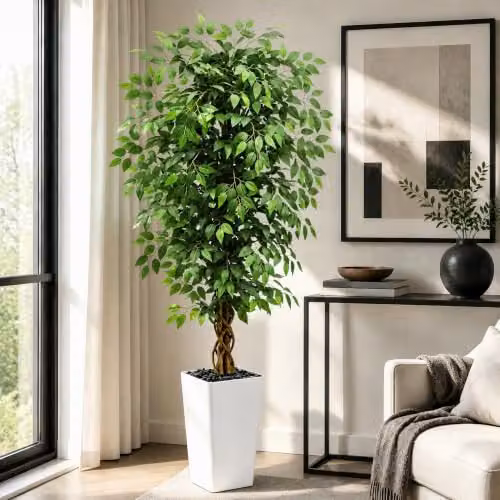 Albero di ficus artificiale, 1,5 m, per interni, con vaso bianco