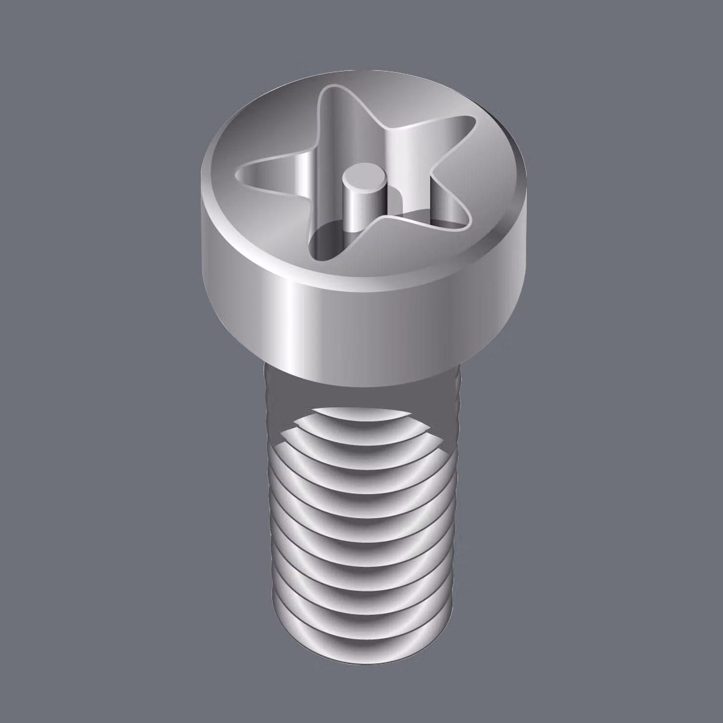 Wera 867/4 IPR TORX PLUS punte con foro, 25 IPR, lunghezza 50 mm 10 pz