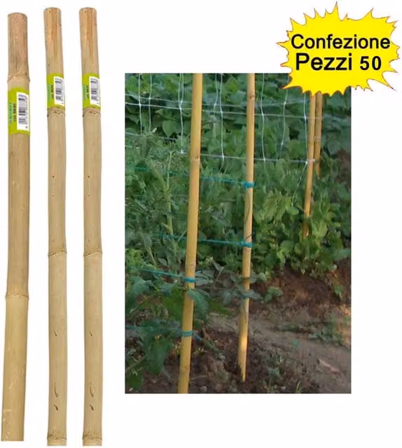 Set di 50 tutori in bamboo VERDEMAX marrone per piante e orto, diametro 22-24 mm, Altezza: 240 cm